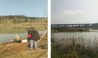 區畜牧局開展春季漁政巡查，保障畜牧漁業飼料銷售安全