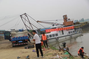 固鎮縣畜牧獸醫水產局積極開展漁業資源增殖人工放流活動 助力畜牧漁業飼料銷售新篇章